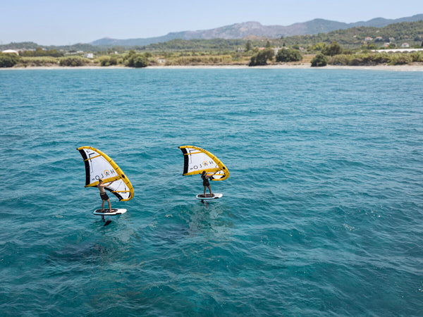 Core Halo Pro LW Wing