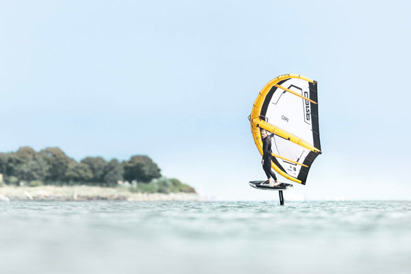 Core Halo Pro LW Wing