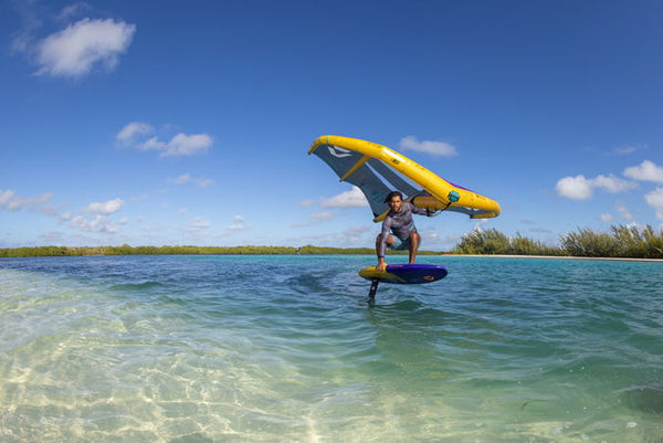 2025 Duotone Ventis D/LAB Wing