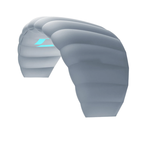 Duotone Trainer Kite Lizard