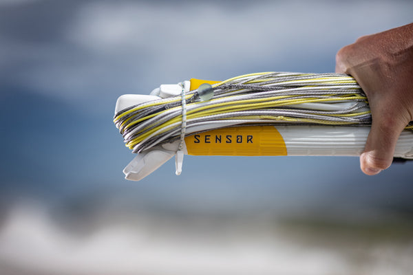 CORE SENSOR 3 Control System