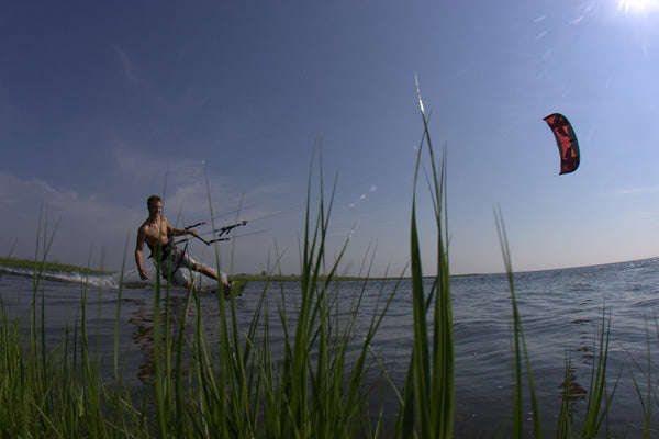 AFTERNOON DELIGHT AND MULTI-PACK OPTIONS